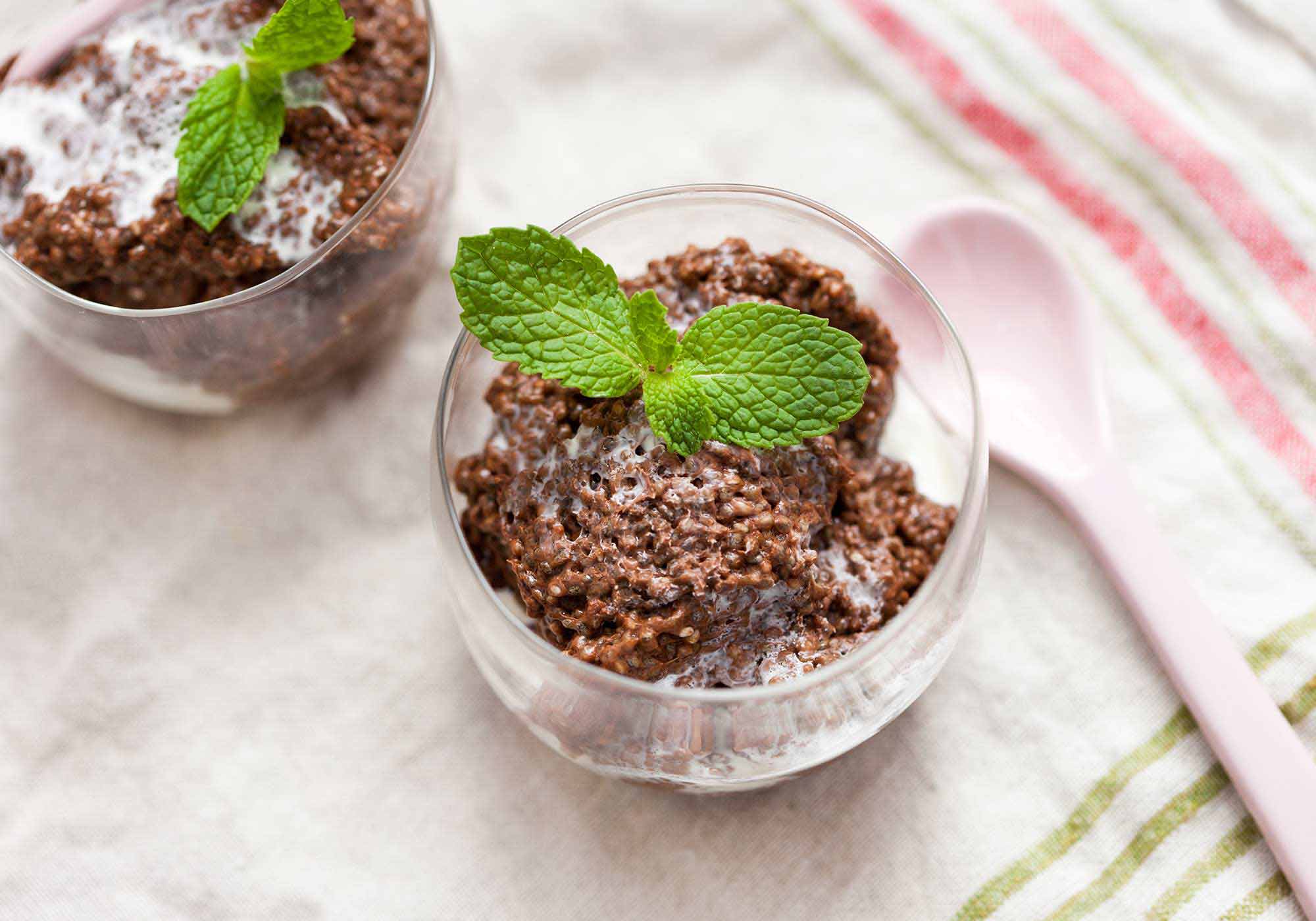 Dining With Dysphagia A Cookbook Chocolate Chia Pudding