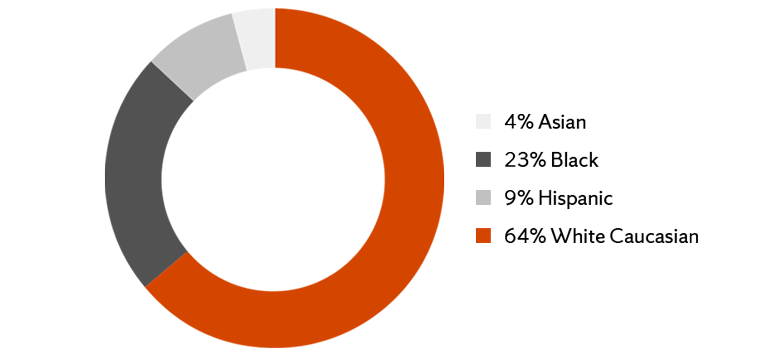 circle graph of percentage breakdown of race